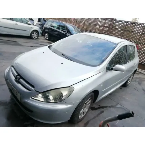 PEUGEOT 307 (S1) '2003 XS GRIS
