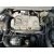 SEAT IBIZA (6J5) SEAT IBIZA (6J5) '2010 25 ANIVERSARIO BLANCO 2009