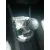 SEAT IBIZA (6L1) SEAT IBIZA (6L1) '2005 COOL BLANCO 2004
