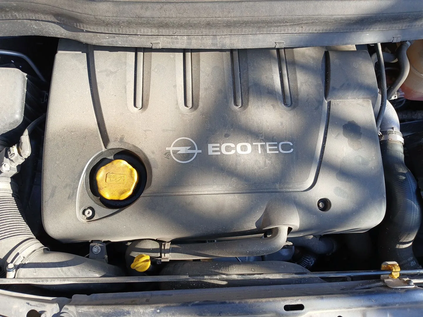 MOTOR Z19DT MANUAL 6V CVF/KW:/ 12.94/88