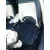 BMW SERIE 1 BERLINA (E81/E87) BMW SERIE 1 BERLINA (E81/E87) '2012 116D NEGRO 2009