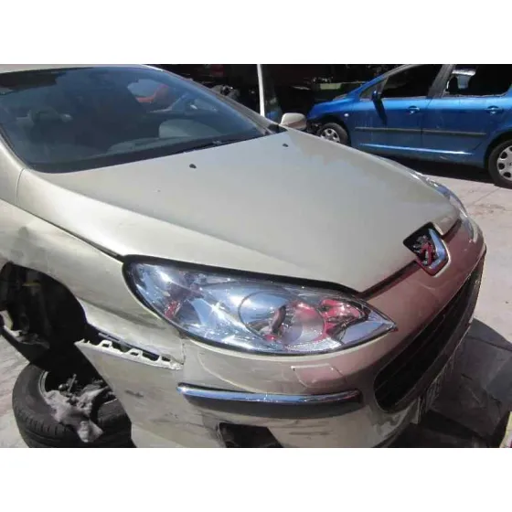 PEUGEOT 407 '2006 2.0 16V HDI FAP CAT (RHR / DW10BTED4) CHAMPANG METALIZADO