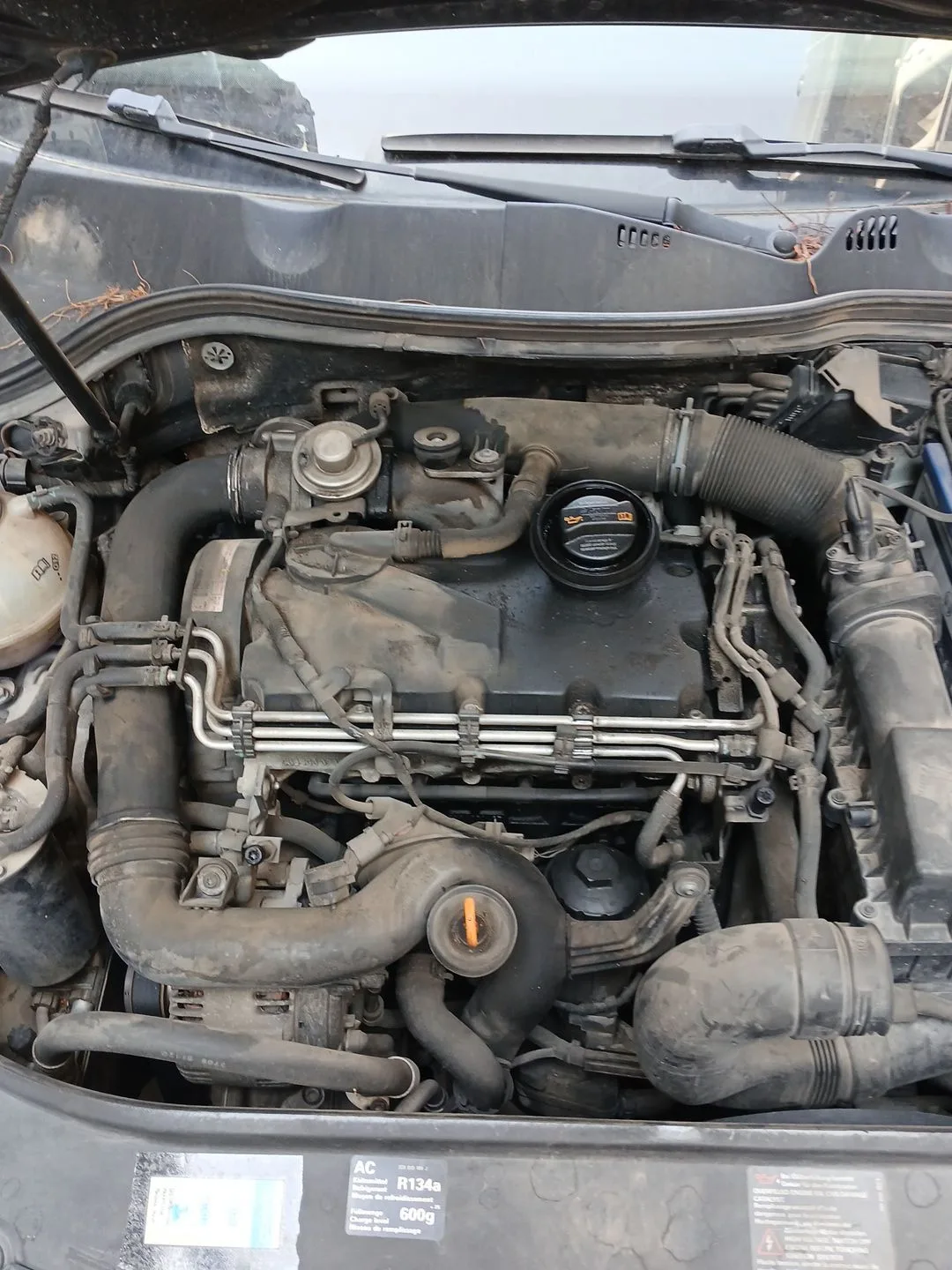 MOTOR BXE MANUAL 5V CVF/KW: 12.89/77