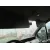 OPEL VIVARO OPEL VIVARO '2002 1.9 CDTI CAT (F9Q-760 / L08) PLATA 2001