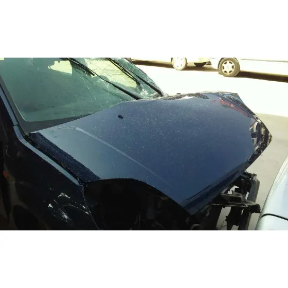 FORD FIESTA (CBK) '2004 AMBIENTE AZUL
