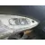 NISSAN PULSAR (C13) NISSAN PULSAR (C13) '2019 1.2 16V CAT BLANCO 2014