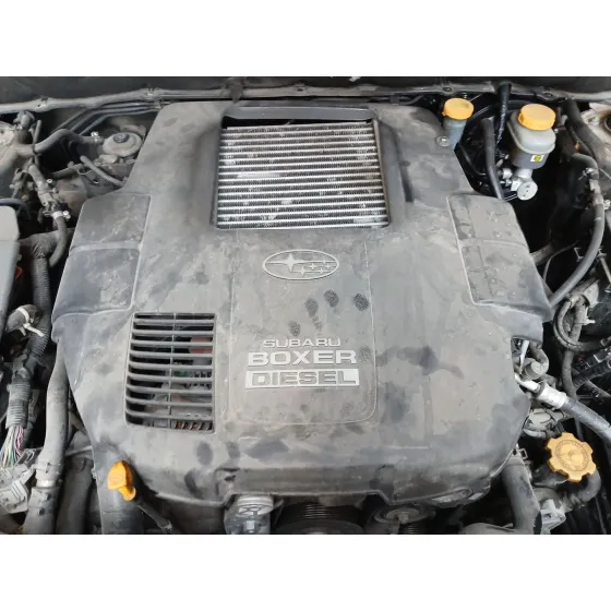 MOTOR EE20 MANUAL 6V 4X4 AWD CVF/KW: 13.31/110