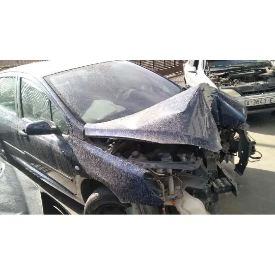 PEUGEOT 307 (S1) '2004 XN AZUL