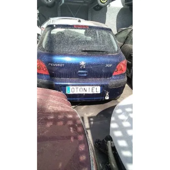 PEUGEOT 307 (S1) '2004 XN AZUL