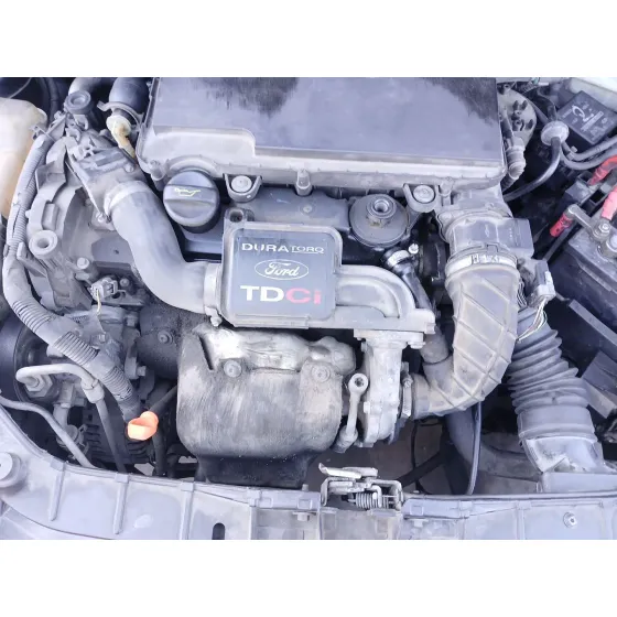 MOTOR F6JA C.V.F/KW 10,74/50