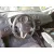SEAT IBIZA (6J5) SEAT IBIZA (6J5) '2008 STYLANCE / STYLE GRIS 2008