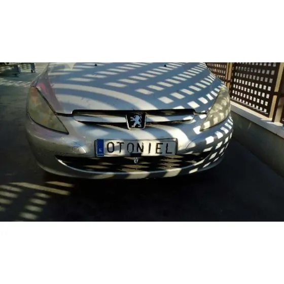 PEUGEOT 307 BREAK / SW (S1) '2004 SW GRIS