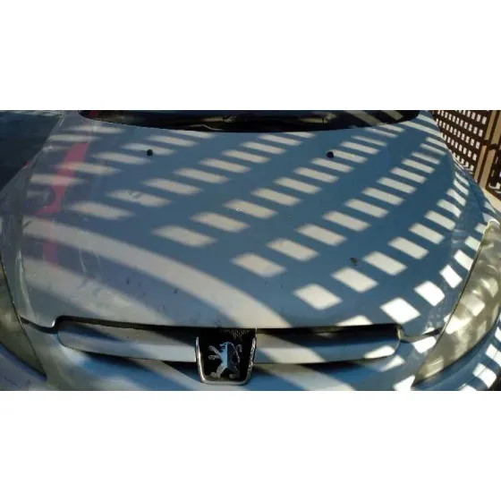 PEUGEOT 307 BREAK / SW (S1) '2004 SW GRIS