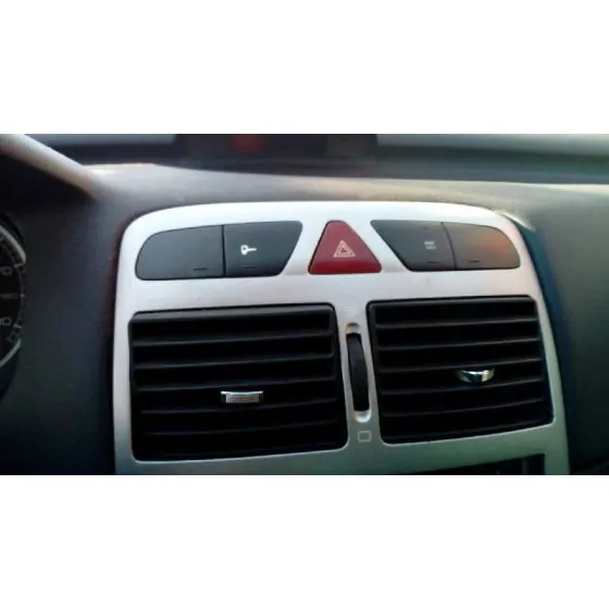PEUGEOT 307 BREAK / SW (S1) '2004 SW GRIS