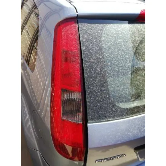 FORD FIESTA (CBK) '2005 AMBIENTE AZUL