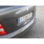 SKODA FABIA (6Y2/6Y3) SKODA FABIA (6Y2/6Y3) '2007 1.2 12V GRIS 2000