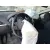 PEUGEOT 207 PEUGEOT 207 '2007 SPORT GRIS 2007