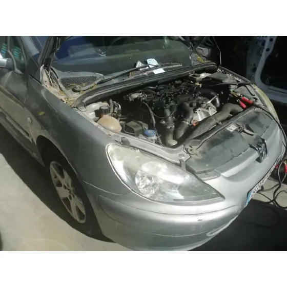 PEUGEOT 307 (S1) '2004 XS GRIS