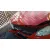 OPEL CORSA C OPEL CORSA C '2006 1.7 16V CDTI ROJO 2003