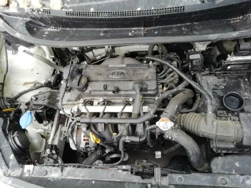 KIA RIO KIA RIO '2012 1.2 CAT BLANCO 2011