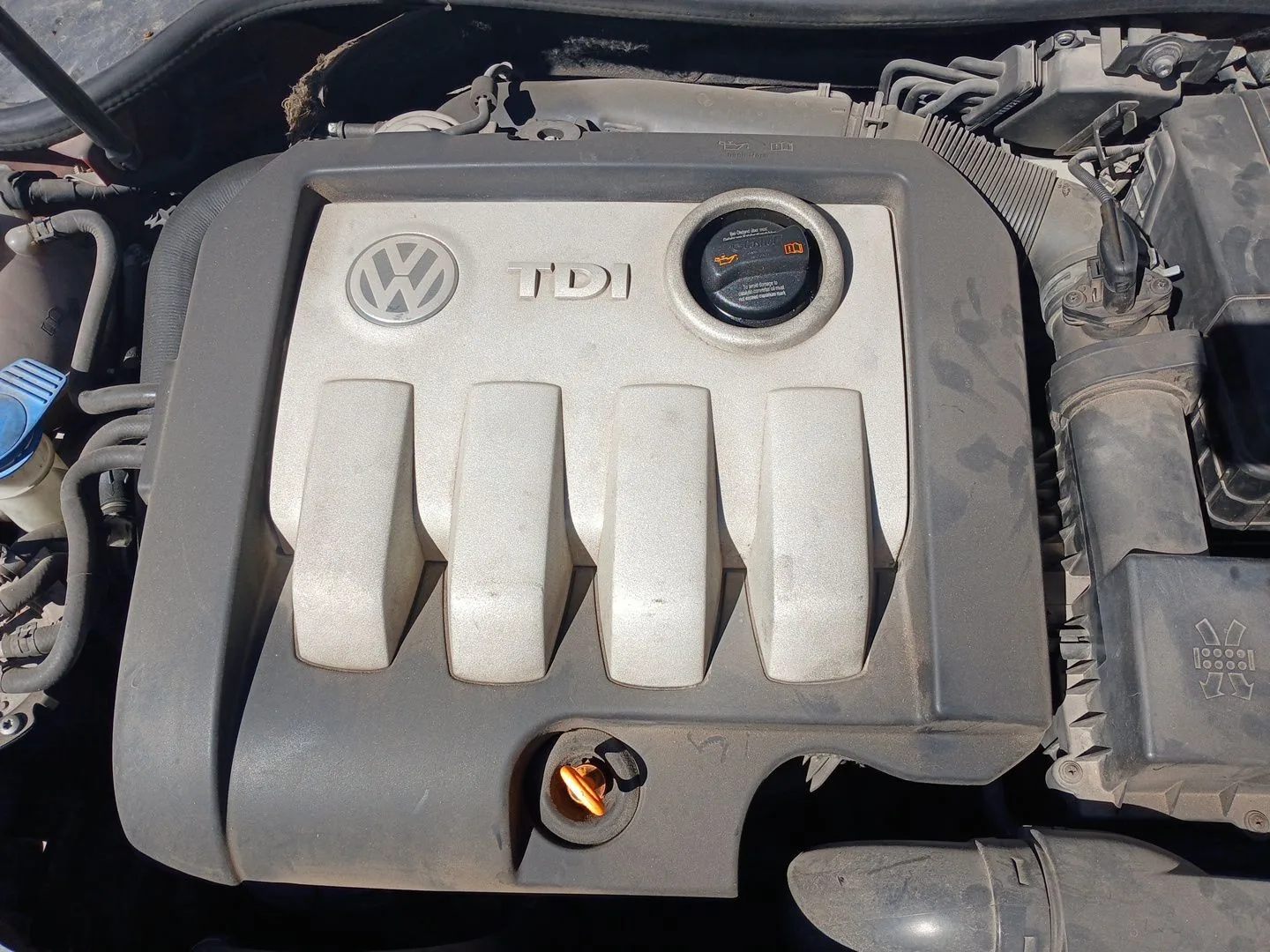 VOLKSWAGEN GOLF V (1K1) MOTOR BXE. CAMBIO MANUAL 5V CVF/KW: 12,89/77 2003
