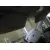 AUDI A3 SPORTBACK (8P) AUDI A3 SPORTBACK (8P) '2012 1.6 TDI AMBIENTE 2009