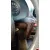 SEAT IBIZA (6L1) SEAT IBIZA (6L1) '2004 COOL ROJO 2004