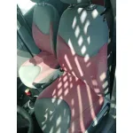CITROEN C3 '2009 1.4 FURIO NEGRO