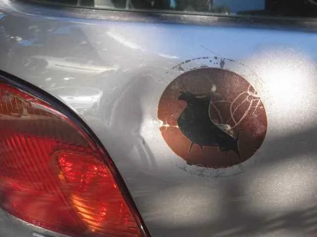 TOYOTA YARIS (NCP1/NLP1/SCP1) TOYOTA YARIS (NCP1/NLP1/SCP1) '2004 1.3 EXPO AZUL 2003