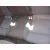 SEAT LEON (1M1) SEAT LEON (1M1) '2003 SIGNO ROJO 1999