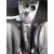 FORD FIESTA (CBK) FORD FIESTA (CBK) '2004 AMBIENTE PLATA 2001