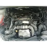 FORD FOCUS LIM. (CB8) FORD FOCUS LIM. (CB8) '2014 EDITION BLANCO 2014
