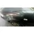 VOLKSWAGEN POLO BERLINA (6N2) VOLKSWAGEN POLO BERLINA (6N2) '2000 CONCEPTLINE GRIS 1999