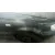 VOLKSWAGEN POLO BERLINA (6N2) VOLKSWAGEN POLO BERLINA (6N2) '2000 CONCEPTLINE GRIS 1999