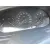 RENAULT MEGANE I SCENIC (JA0) '1997 1.6E ALIZE BLANCA