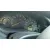 FORD FOCUS BERLINA (CAK) '2000 AMBIENTE AZUL