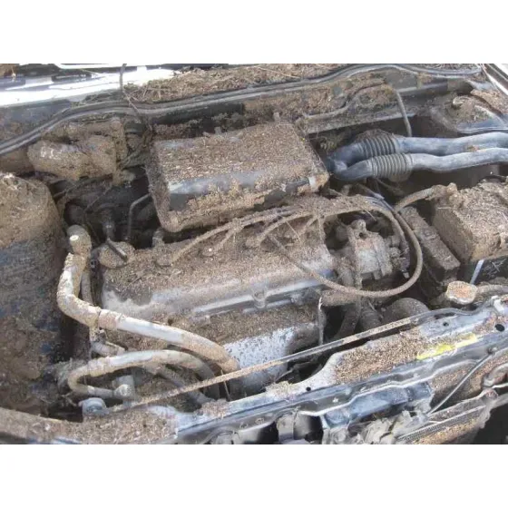 NISSAN MICRA (K11) '1998 BASICO VERDE