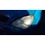 MERCEDES-BENZ CLASE A (W168) MERCEDES CLASE A (W168) '1999 170 CDI (168.008) AZUL 1997