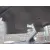 CITROEN XSARA BERLINA '1999 1.9 TD EXCLUSIVE GRIS