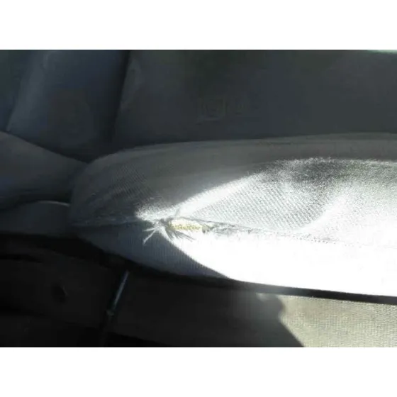 SEAT LEON (1M1) '2000 SIGNO VERDE