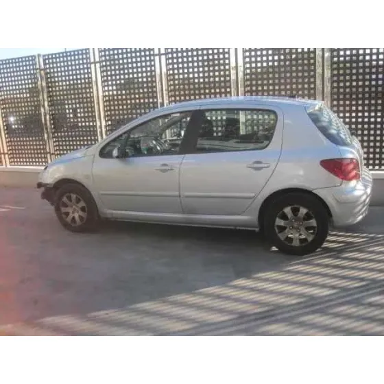 PEUGEOT 307 (S1) '2002 * PLATA