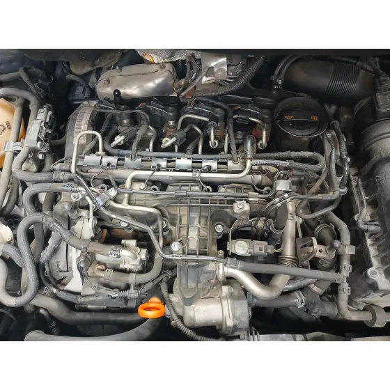 CAY. MANUAL 6V