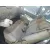 RENAULT ESPACE IV (JK0) RENAULT ESPACE IV (JK0) '2004 PRIVILEGE GRIS 2002