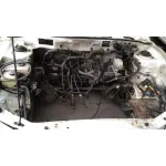 HYUNDAI COUPE (J2) HYUNDAI COUPE (J2) '1998 1.6 FX COUPE BLANCO 1997