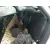 FORD FOCUS LIM. FORD FOCUS LIM. '2014 1.0 ECOBOOST CAT BLANCO 2014