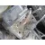 MERCEDES-BENZ CLASE E (W210) FAMILIAR MERCEDES CLASE E (W210) FAMILIAR '2000 220 T CDI (210.206) GRIS 1999
