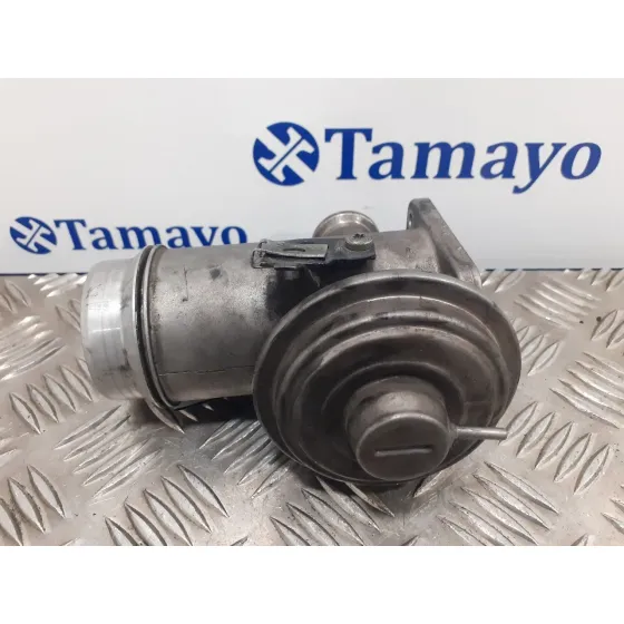Valvula Egr para Bmw X3 (E83)