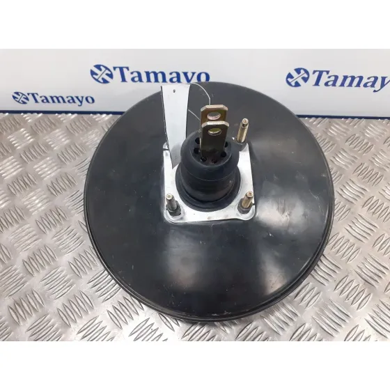 Servofreno para Peugeot Boxer Caja Cerr. Techo Elevado (Rs2850)(290/330)('02->)