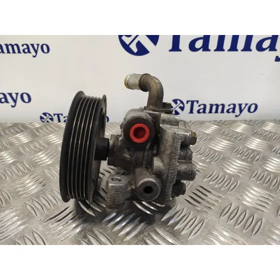 Bomba Direccion para Ford Transit Connect (Tc7)