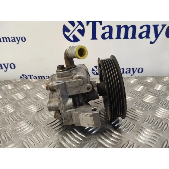 Bomba Direccion para Ford Transit Connect (Tc7)